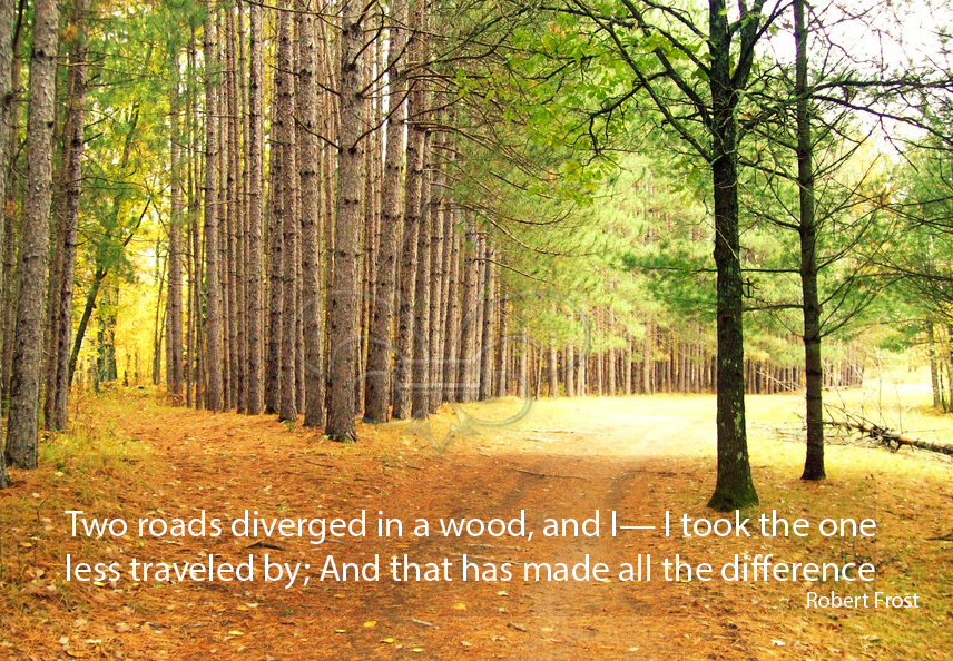 two_roads_in_a_yellow_wood_-robert-frost